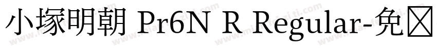 小塚明朝 Pr6N R Regular字体转换
